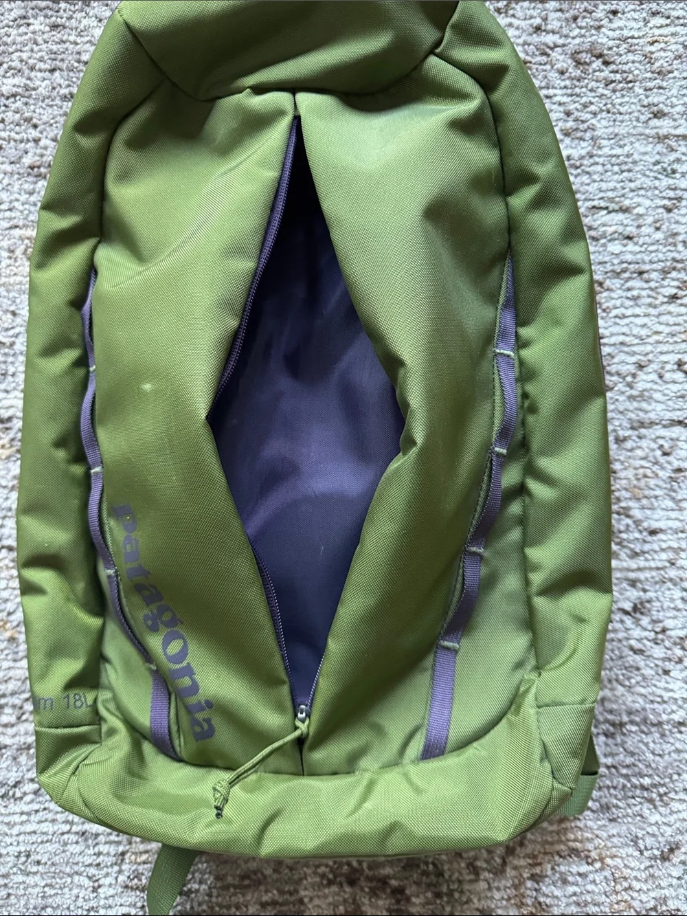 Patagonia Atom 18L Olive Green Backpack with Purple Accents